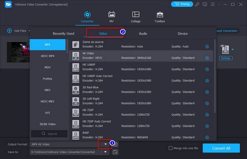 Vidmore Video Converter Output-inställning