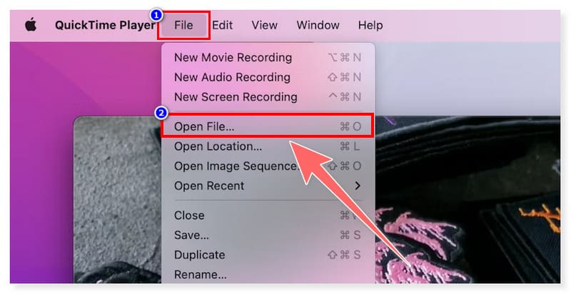 Quicktime GIF to MOV Converter