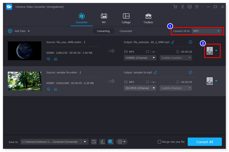 Vidmore MP3 Output Format