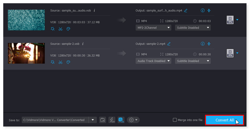 Vidmore Converter Offline