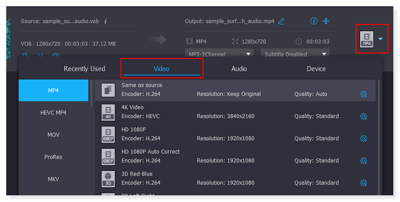 Vidmore Çevrimdışı Çıktı Formatı