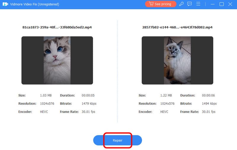 Fare clic sul pulsante Ripara Vidmore