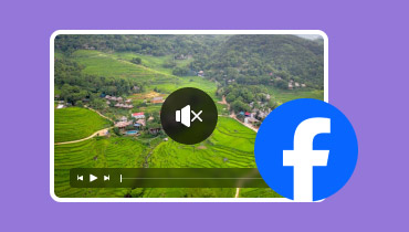 Facebook videó Nincs hang