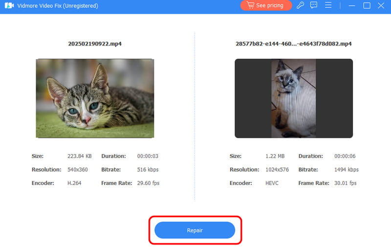 Nyomja meg a Javítás gombot Vidmore