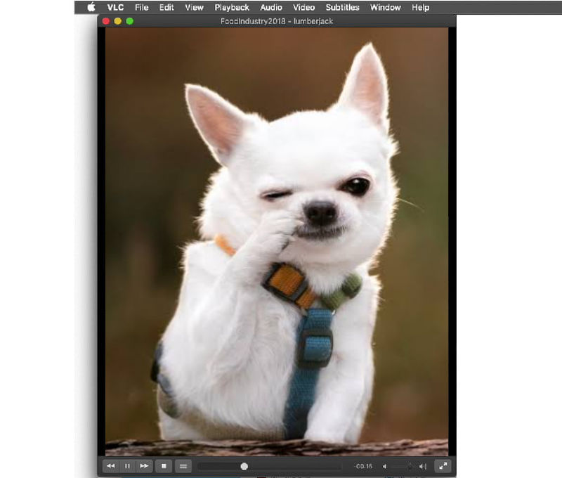 Play MP4 File VLC