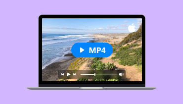 Play MP4 On Mac S
