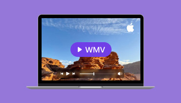 Play WMV On Mac S