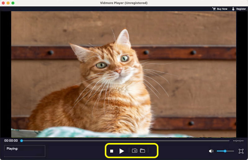 Play WMV Vidmore