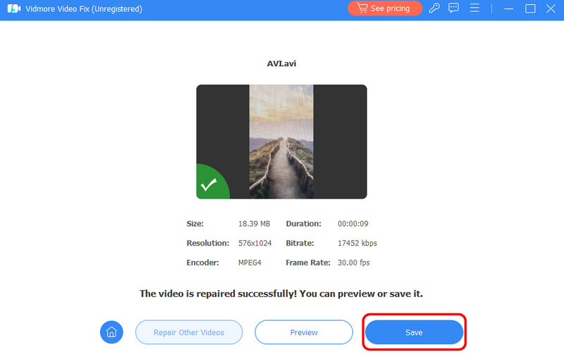 احفظ الفيديو Vidmore