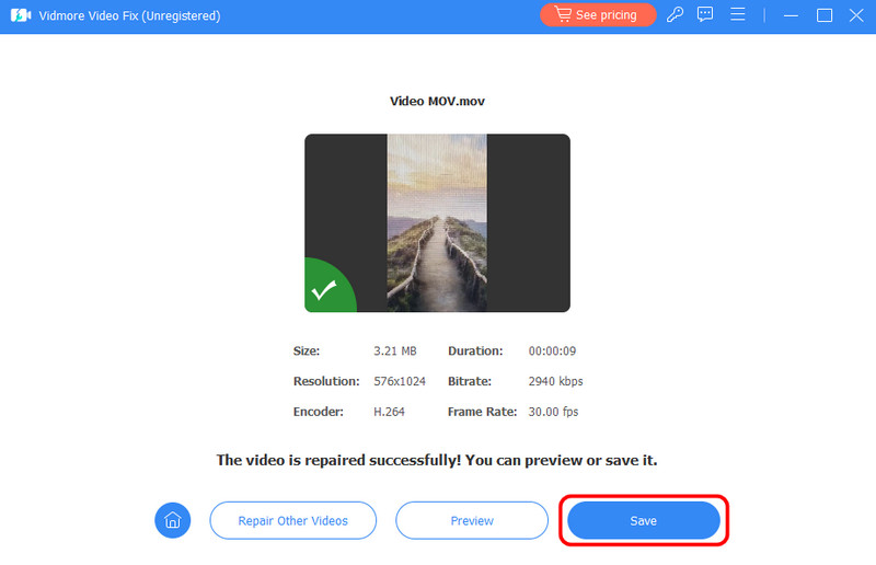 Guardar Video Vidmore