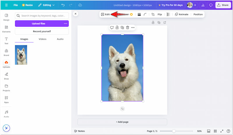 Access Editing Section