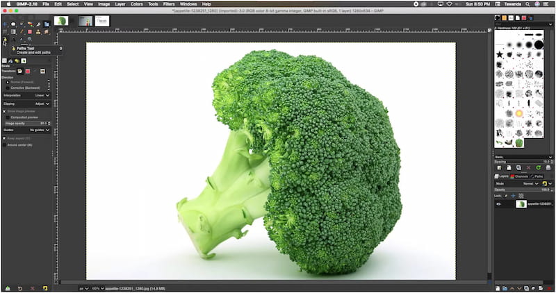 Gnu Image Manipulation Program