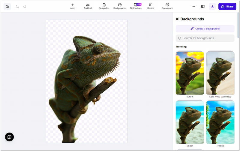 Photoroom Free Transparent Background Maker