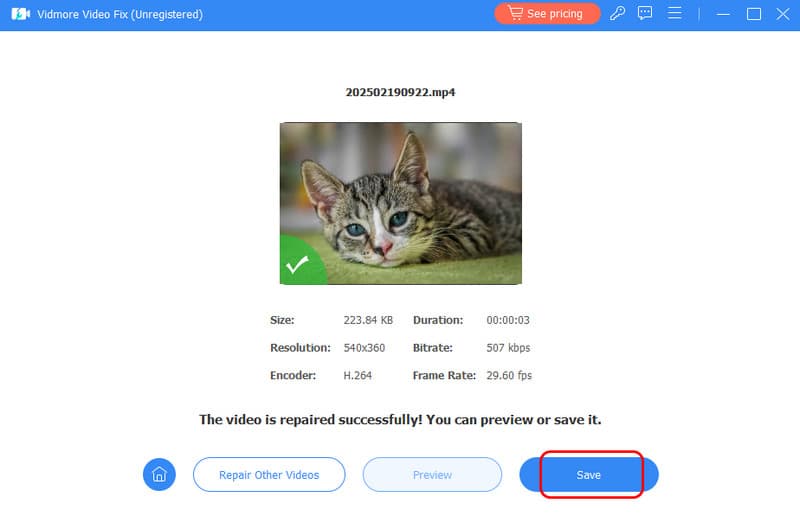 Guardar el video Vidmore