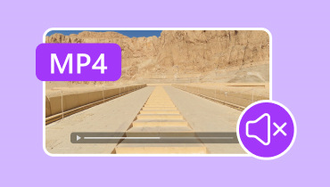 אין קול ב-Mp4