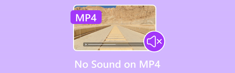 Mp4 पर कोई ध्वनि नहीं