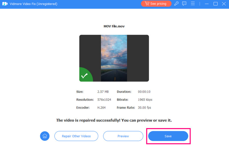 Spara Netflix-video Vidmore