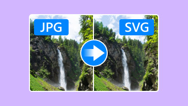 JPG를 SVG로 변환