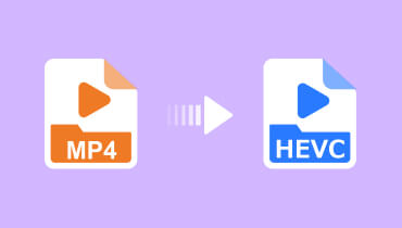 MP4 σε HEVC