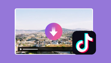 ดาวน์โหลดวิดีโอ TikTok คุณภาพสูง