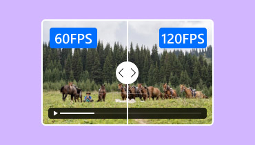 Kare Hızlarını İyileştirin