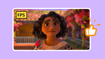 Лучший FPS для анимации