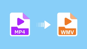 MP4 la WMV