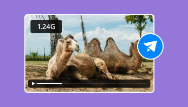 Enviar archivos de vídeo grandes