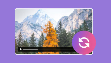 Videotranskoder