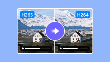 Konverter H265 til H264