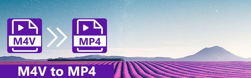 20 M4V naar MP4