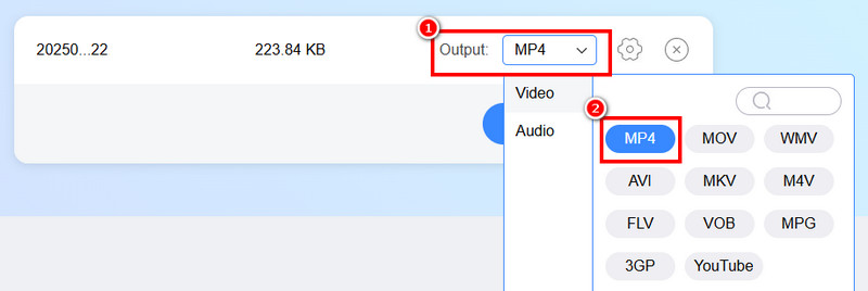 Outputmuligheder Vidmore