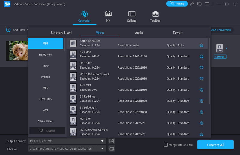 Vidmore Video Converter