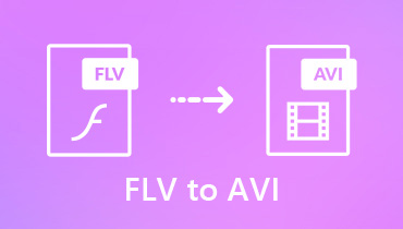 將FLV轉換為AVI