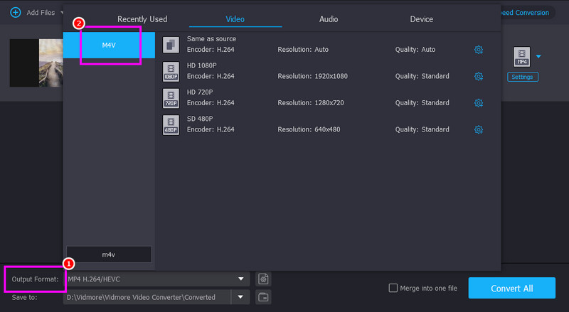 Output Format M4V Vidmore
