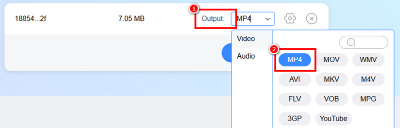 Output Section MP4 Vidmore