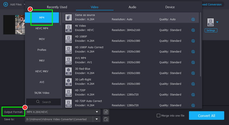 Output Format MP4 Vidmore