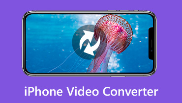 iPhone視頻轉換器