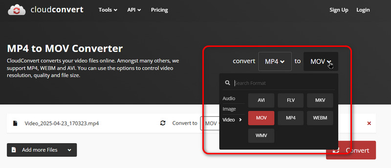 Cloudconvert 选择格式