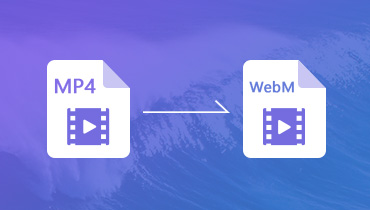5 méthodes de convertir MP4 en WebM pour Windows et Mac