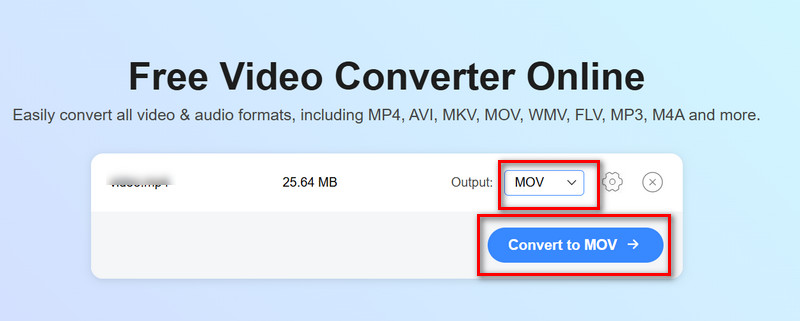 Konversi Daring Vidmore