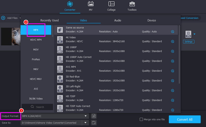 Izlazni format MP4 Vidmore