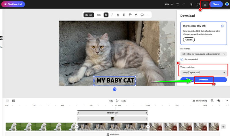 Download Slideshow Vidmore