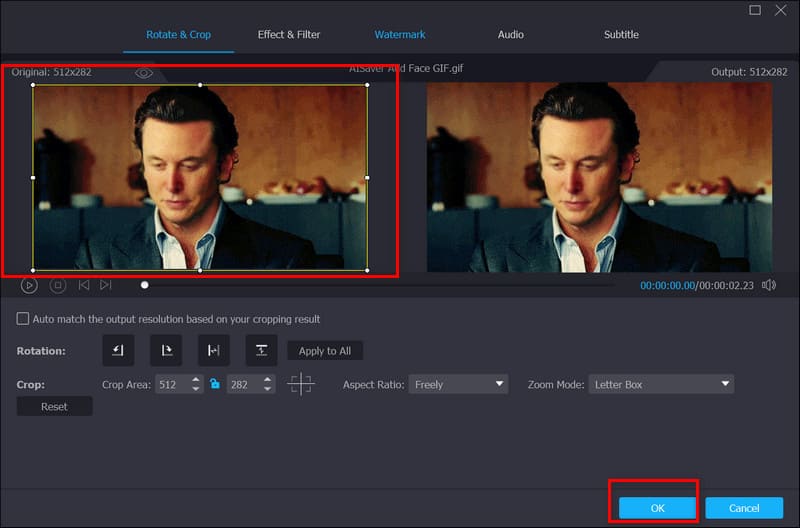 GIF recortado de Vidmore