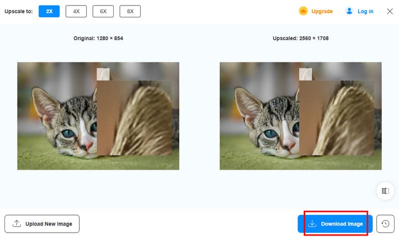 Λήψη εικόνας Vidmore