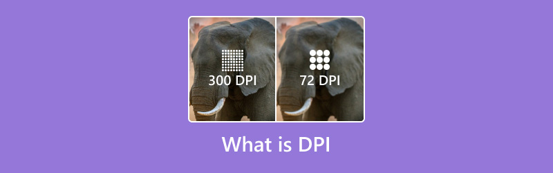 Che cosa è DPI