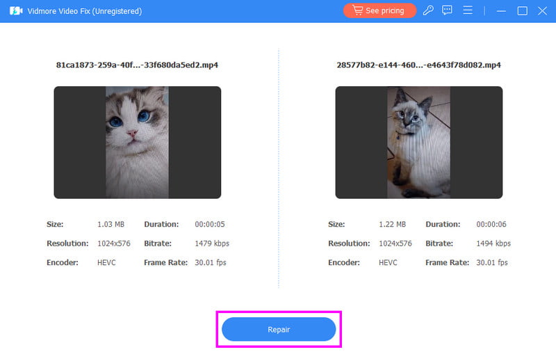 Faceți clic pe butonul de reparare Vidmore