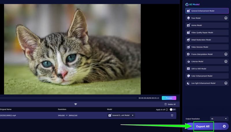 Ekspor Semua Vidmore