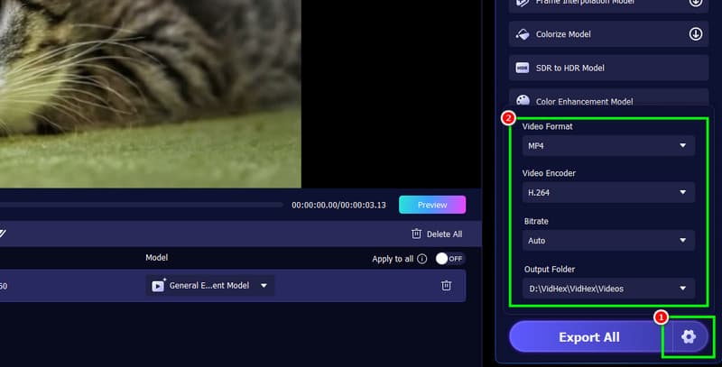 Opsi Pengaturan Vidmore