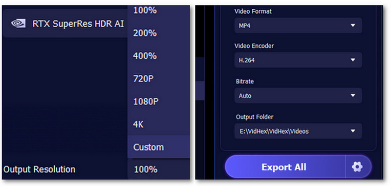 Vidmore Vidhex Export